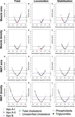 Associations Between Lipoprotein Subfractions and Area and Density of Abdominal Muscle and Intermuscular Adipose Tissue: The Multi-Ethnic Study of Atherosclerosis